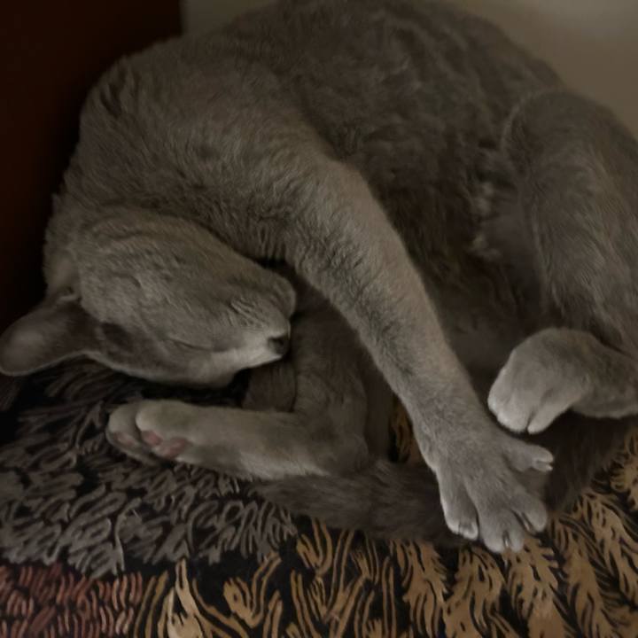 5b681dc9 b749 4f28 a7d2 cf8768956c56 1736426071240