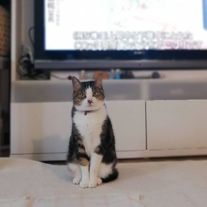 5b68737a f116 4367 8f41 213cbef1de62 1593249116740