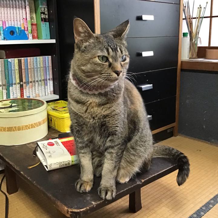 5b68a410 7a85 43ba 8281 0cf9ff9f35ae 1714375696410