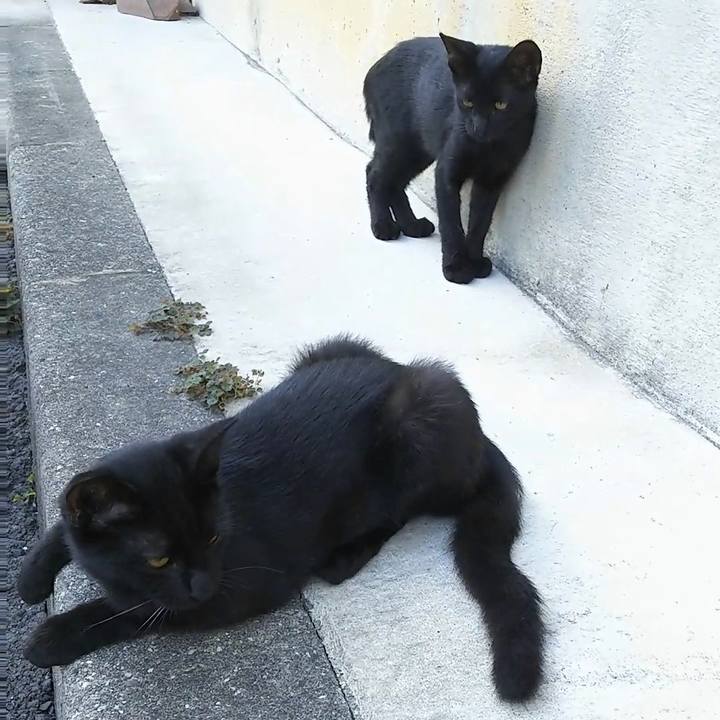 5b68bc95 288e 47ed 8a09 17f687e33415 1535512321670