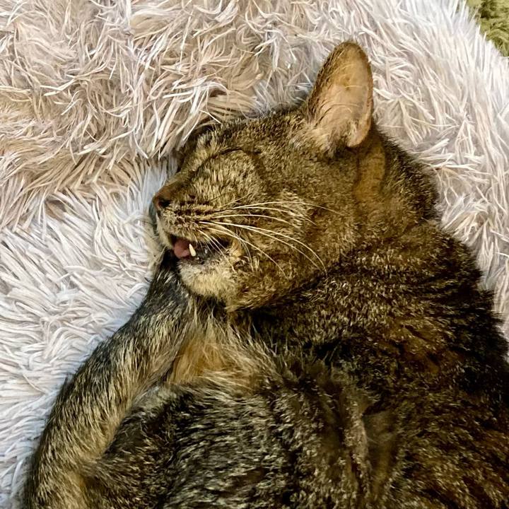 5b68bf60 4fcd 4340 a264 3007612fcf08 1687571172051