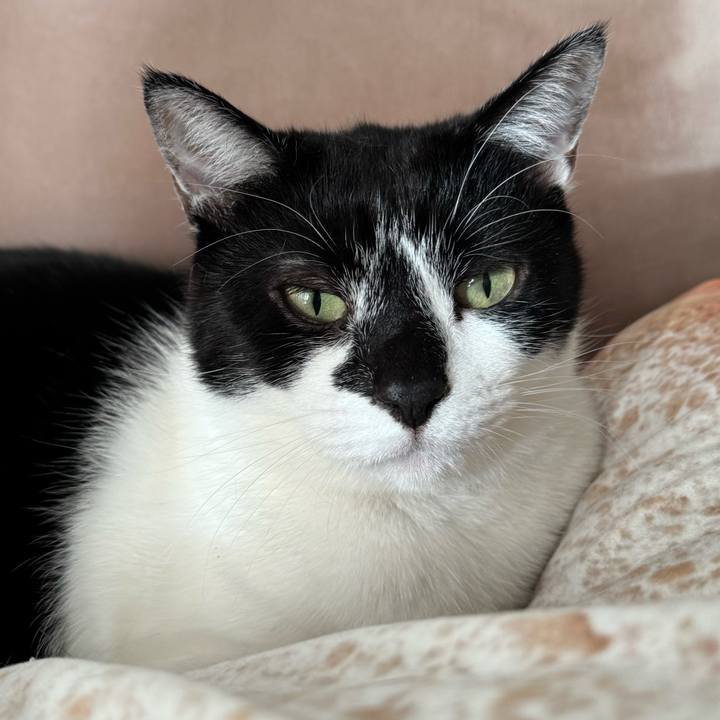 5b690107 24d3 4910 9998 6621a5e0feb7 1766014738811