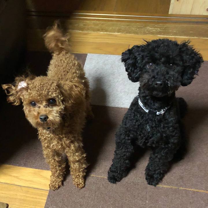 5b691cba 3dc3 40f0 94f2 9f794673c834 1510915889763