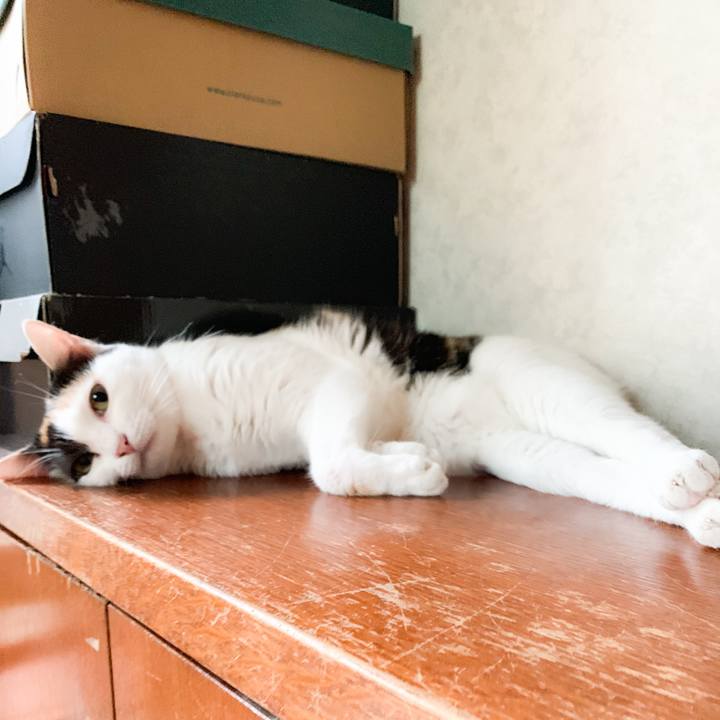 5b694f5b 31fd 4e2f a737 04379da997b8 1570329152418