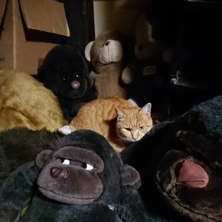 5b69b90a 5bb5 473d 9798 c53b4327f433 1606640449554