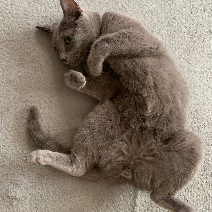 5b69cb6d aa14 4c3a b098 d27a4b68e901 1661922238326