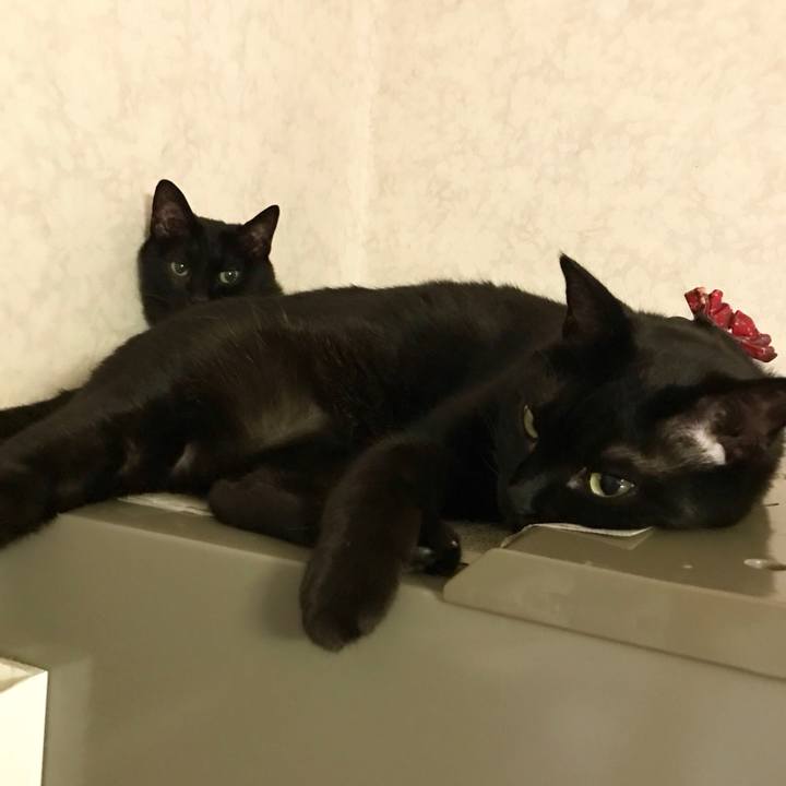 5b69d754 43e3 4587 a6ff 4bf638c3620c 1558095293271