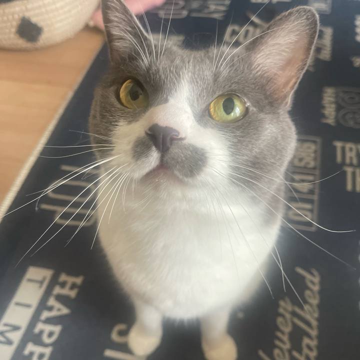 5b69efb5 a4f0 4645 899c 1da324376aea 1725752798558