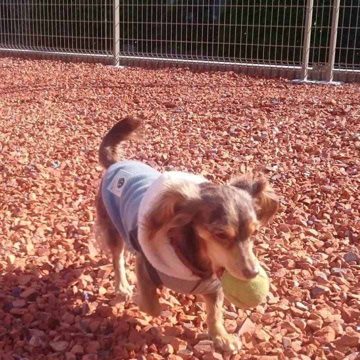 5b69f0ff 2073 454c a854 849ccac50d95 1518337304539