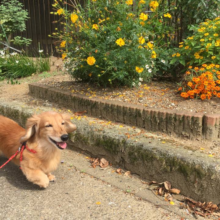 5b69fdc9 2d0f 4305 ae4b 3e3ab836ab0b 1633006809402