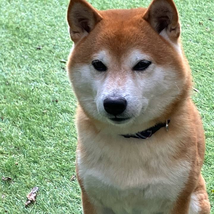 5b6a124b 6646 4b85 89a8 e2415e579fe8 1763859488138