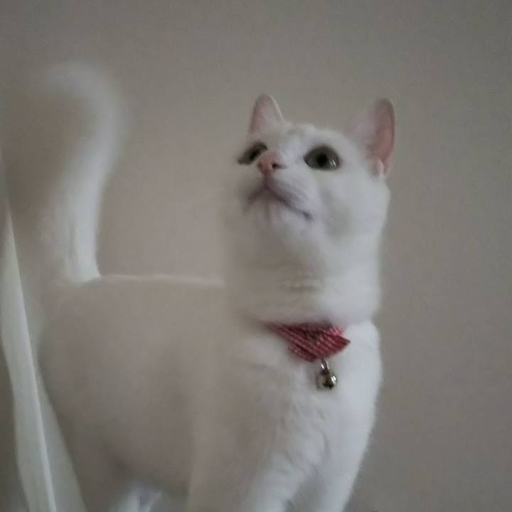 5b6a1dec 3878 418c 9b51 9e12705029e5 1625524241527