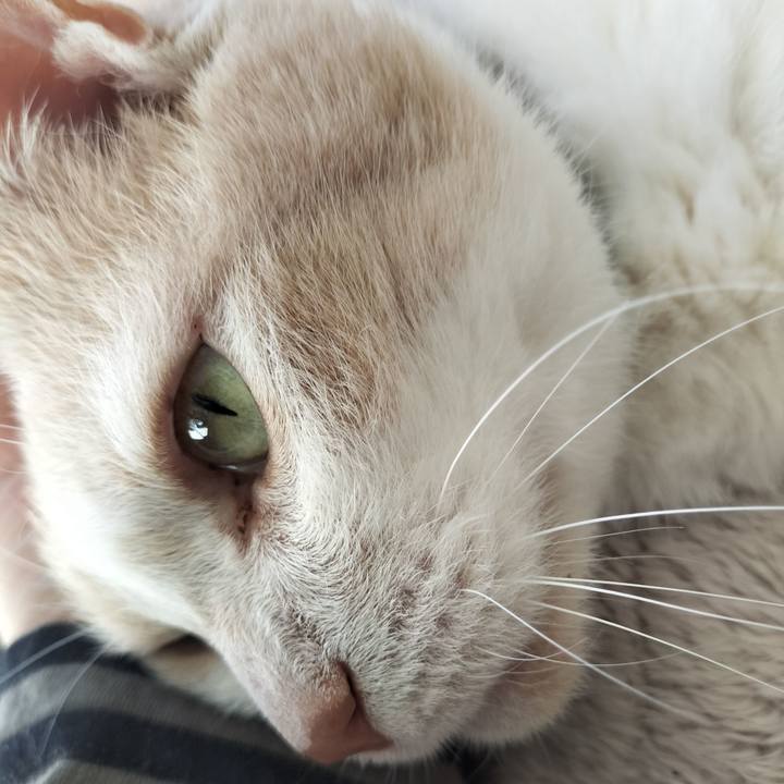 5b6a2358 343f 4085 8a30 3f7a879b3302 1650068218915