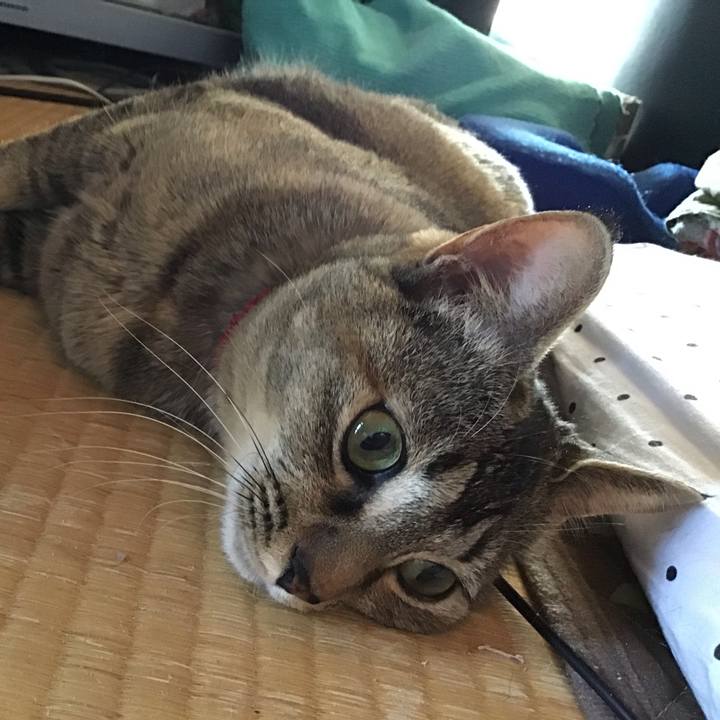 5b6a8fa8 368a 4645 ae8b 3c086b658b71 1585039096390