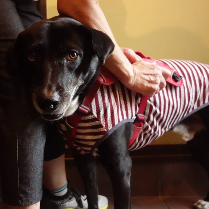 5b6ab9e9 42b4 4aea 95bd d4ed26ea515c 1690415851787