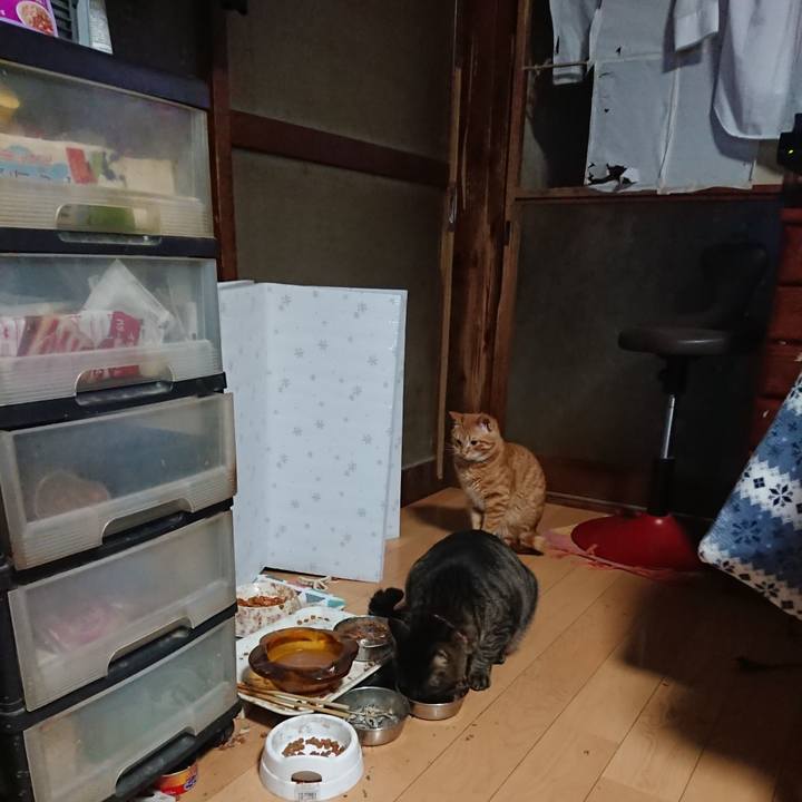 5b6acd2b 5226 4e29 88e1 9fb83707fdf8 1644211122751