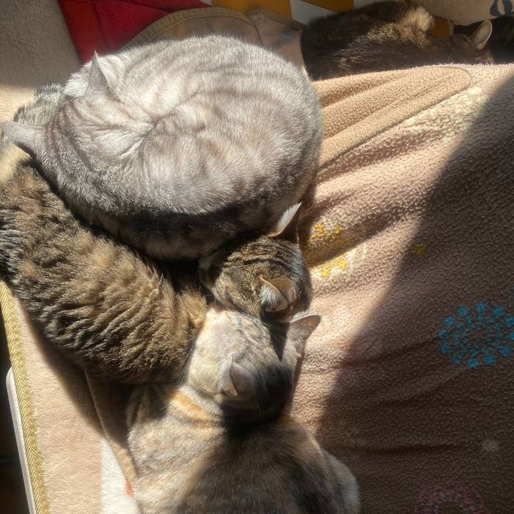 5b6b0eca 4449 4fbd 8d50 e9444893f5d4 1738985168260