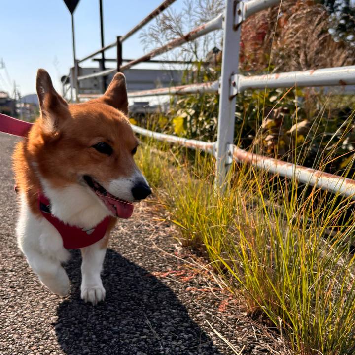 5b6b3810 ff4e 4275 96cc 899736c30eaf 1731552047145