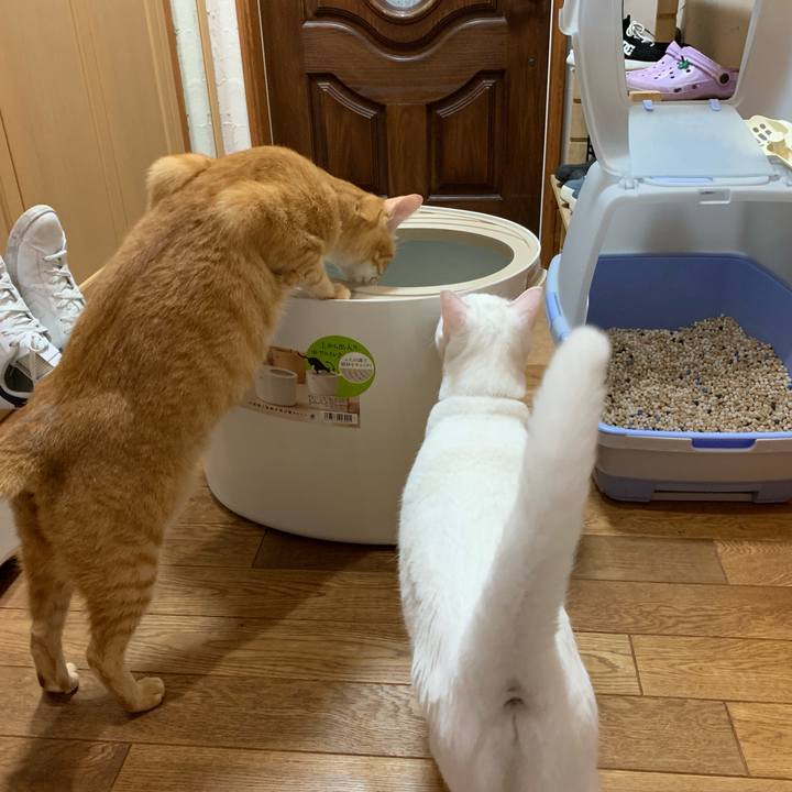 5b6b43c9 10a0 4e3d b4fe 04dccf1207e9 1562761217096