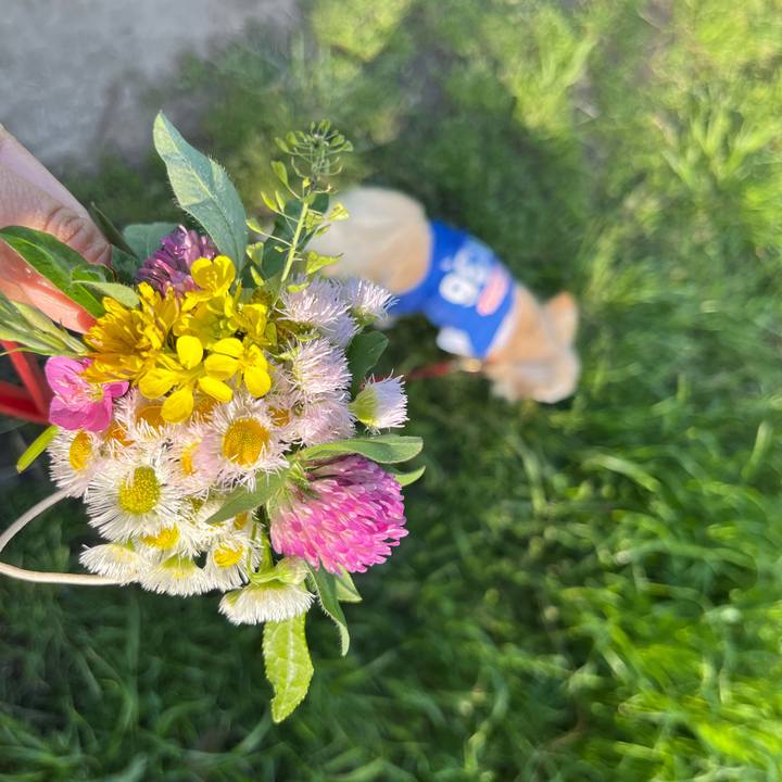 5b6b61a5 fa30 4464 b08b f9ebc6e1c863 1651304903609