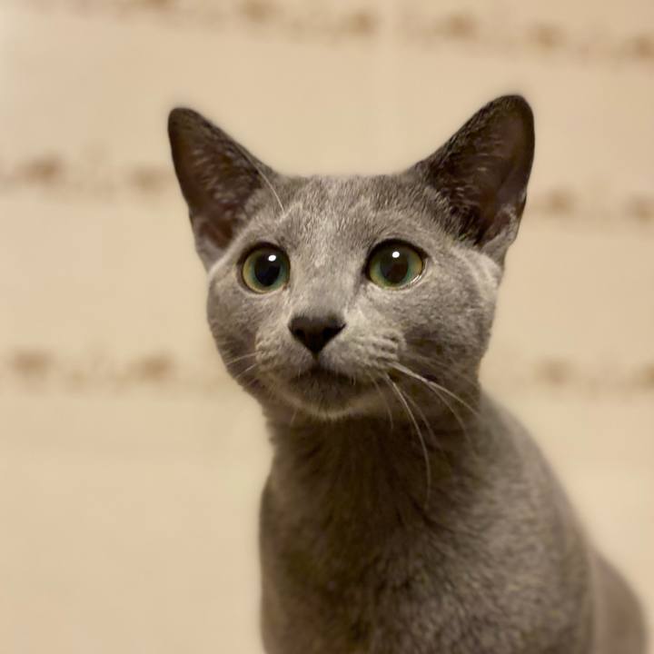 5b6b9517 e95c 4edd b0af 9ad5f38d9114 1610459101685