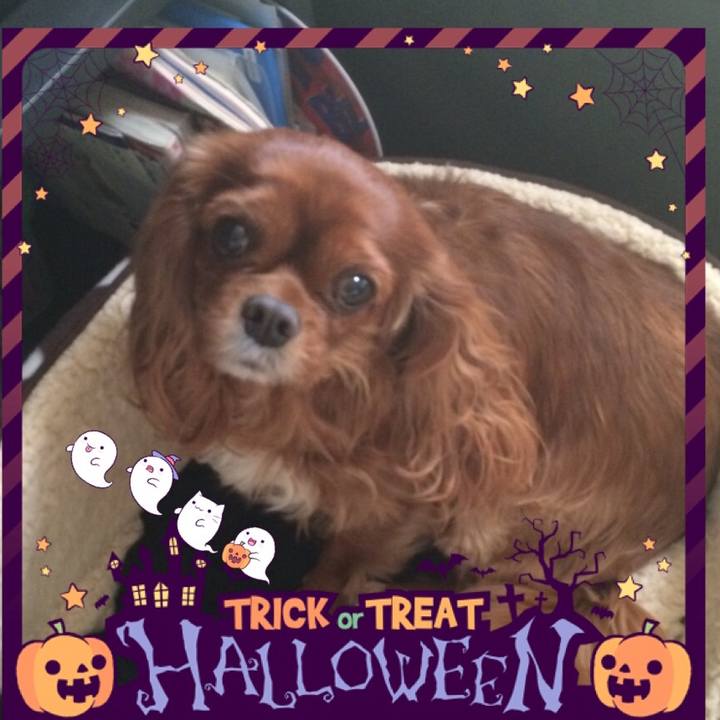 5b6ba0b2 41a9 4448 8d42 289e95b96937 1603599057146