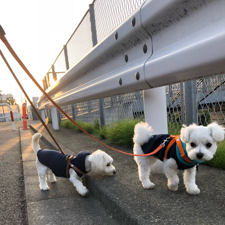 5b6bfe64 39ce 4e73 89d8 642f53ea49de 1525997546979