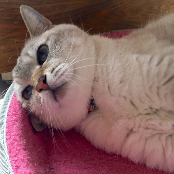 5b6c11ab 49a3 4b88 9ee9 74b1eb68de1a 1541126067870