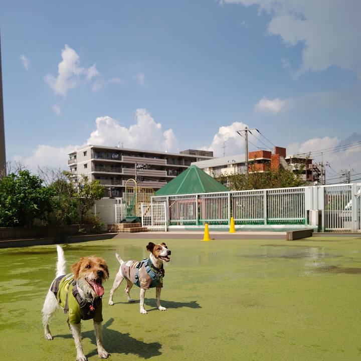 5b6c1cbf e6e4 45b5 b952 1a6160a6efdb 1726128995431