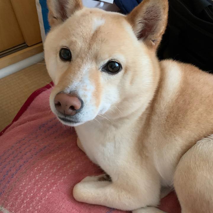 5b6c4801 556d 431d ae7c bf8e2b4dee2b 1616366344838