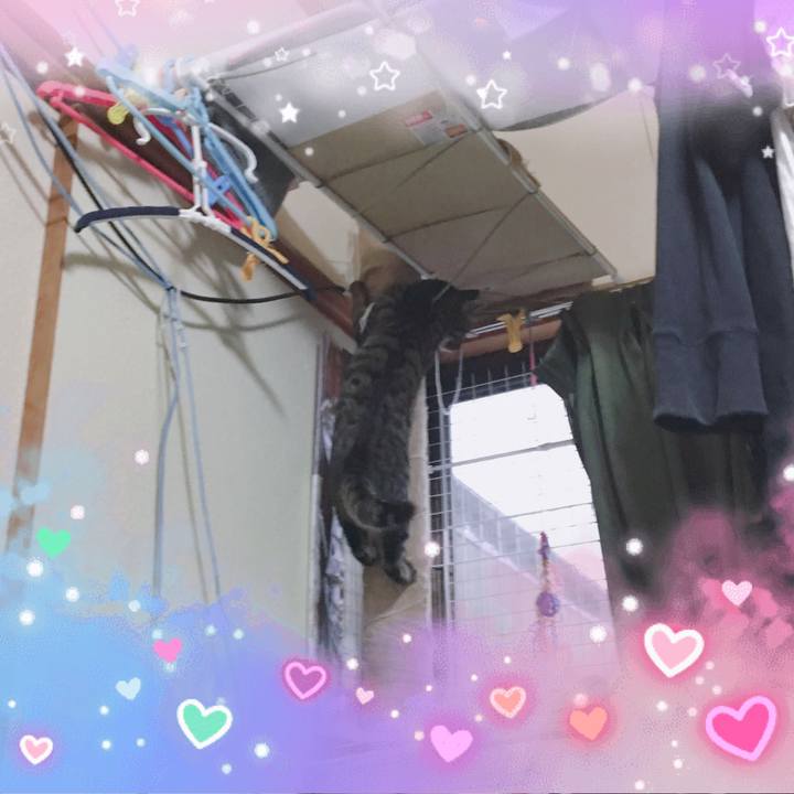 5b6c61e5 4fd9 4043 a39e 746b8ac61fb4 1557130291712