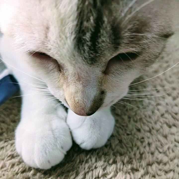 5b6c719b fbe0 49aa 89d7 d70c5c00ec7e 1694943136549