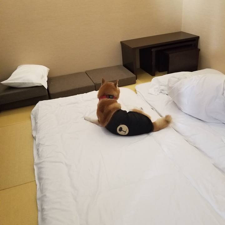 5b6c7a7f 8c46 4bd6 b4ce 0b5b3d085c2e 1731543264577