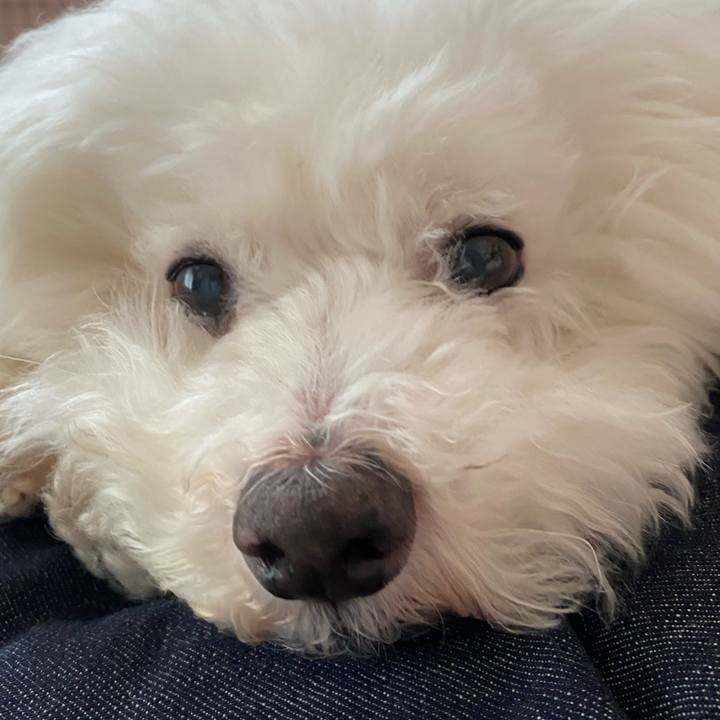 5b6c8af9 75e2 4aab b6a2 9574e6db70cc 1618553712442