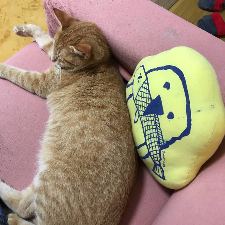 5b6cdd66 06d7 4ca9 a468 7b212f793b7a 1529560339744