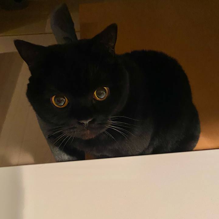 5b6d0689 4950 4bfe 9419 063249e96115 1737891857364