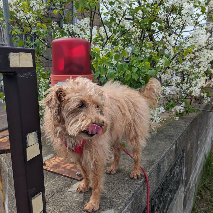 5b6d40c6 0471 4b6e 9f0a 1d476614215d 1714961628745