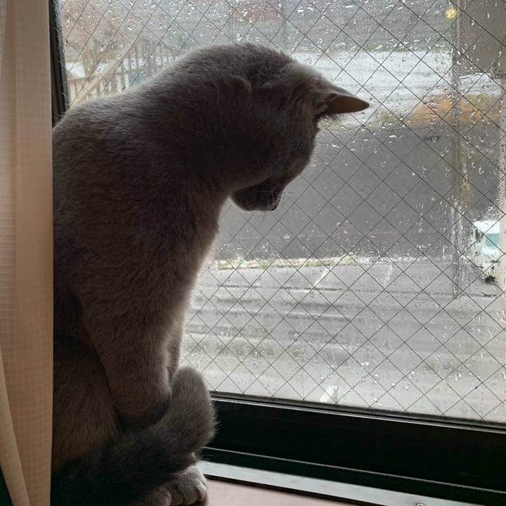 5b6d702d 4cfc 4fd3 9999 800542ede64d 1585444053006