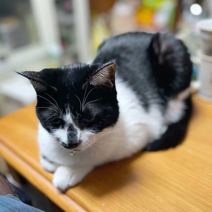 5b6d78c1 f4c6 454d 823b 812898d8c622 1769555697240