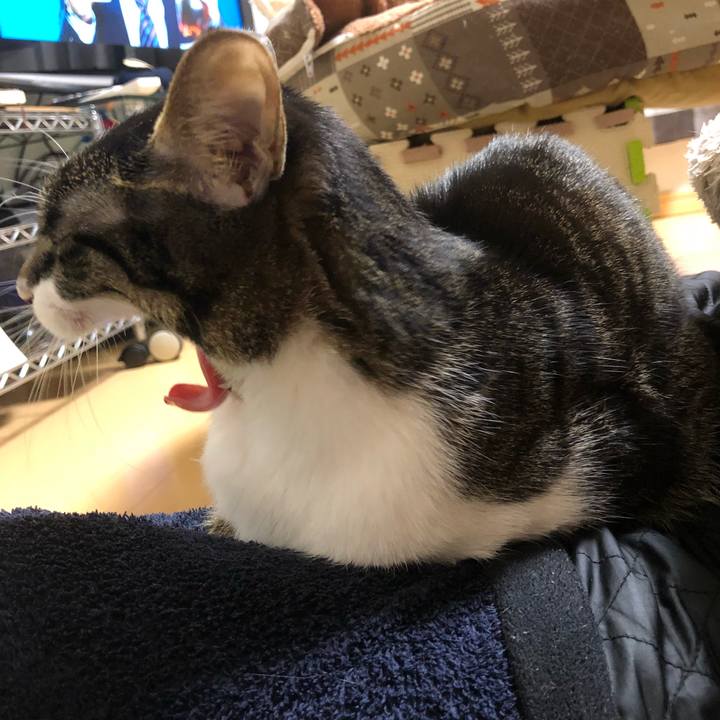 5b6dbf80 23eb 4924 9810 9431b2034210 1519222012237