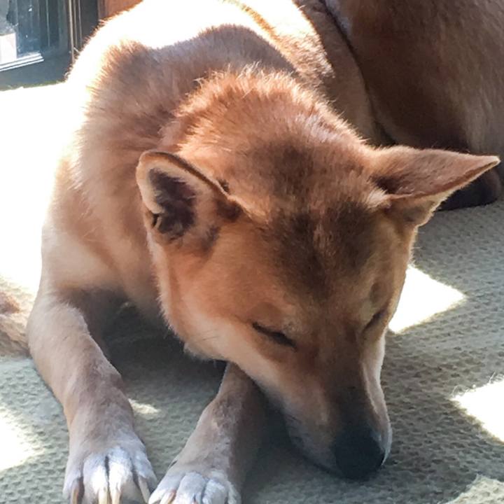 5b6e882a 8302 4e96 8854 0c8834462785 1520133300387