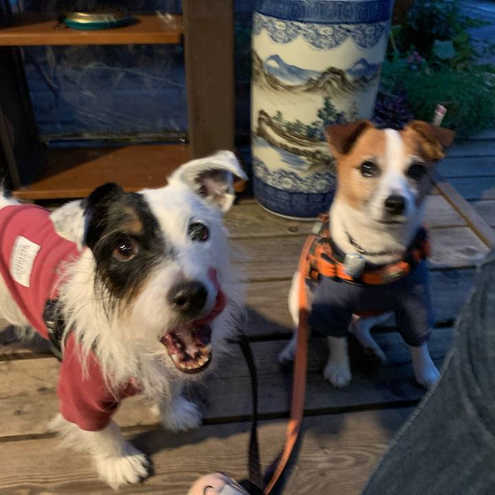 5b6eac21 ceda 477d 8305 da8bbcf8b6c7 1635241815339