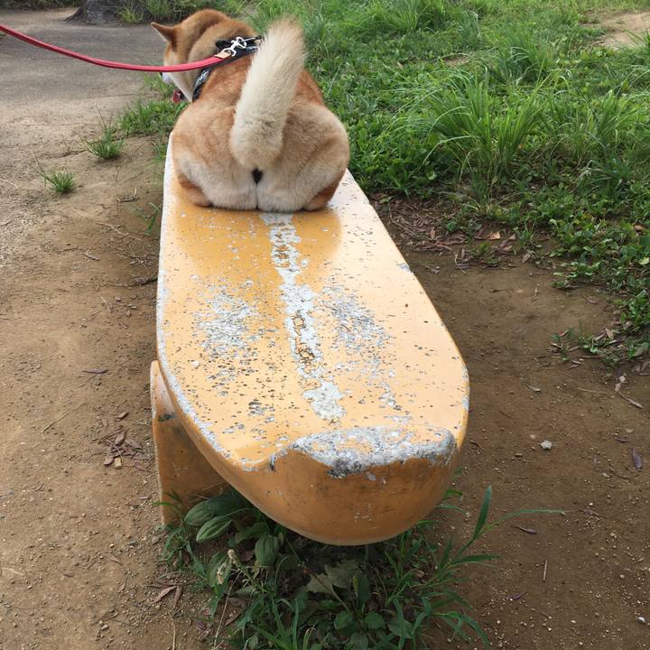 5b6eadb0 61f2 4c85 9d52 bb9613886e96 1597449514759