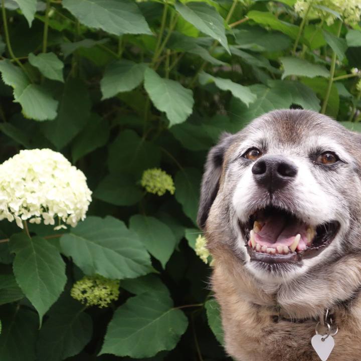 5b6eb80f 9781 4e8d 8f92 a5efba668358 1559438536878