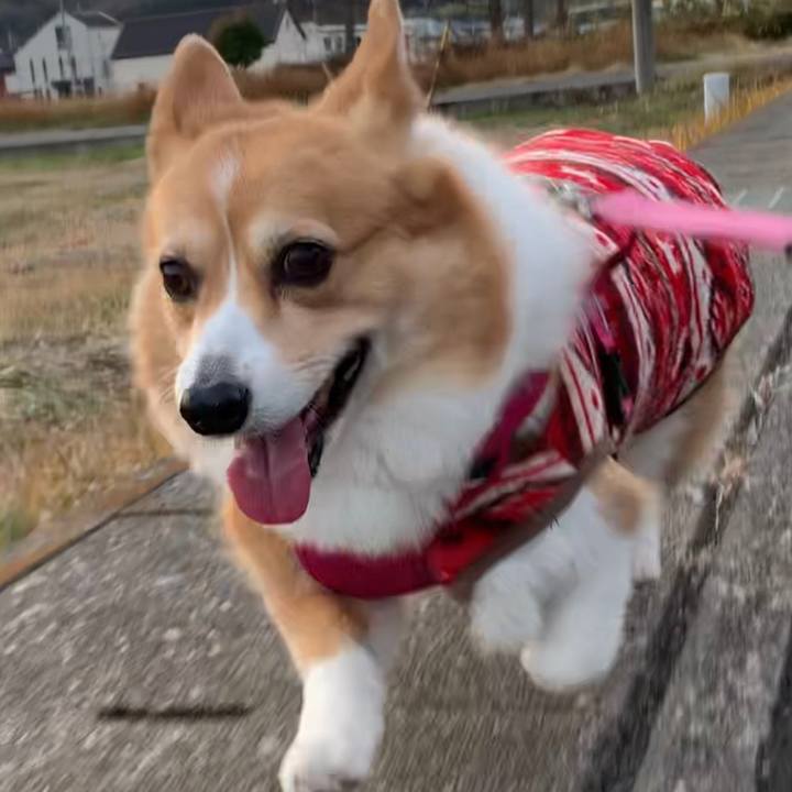 5b6eb9b1 5e06 486c 9537 3c426fba2d46 1672992442344