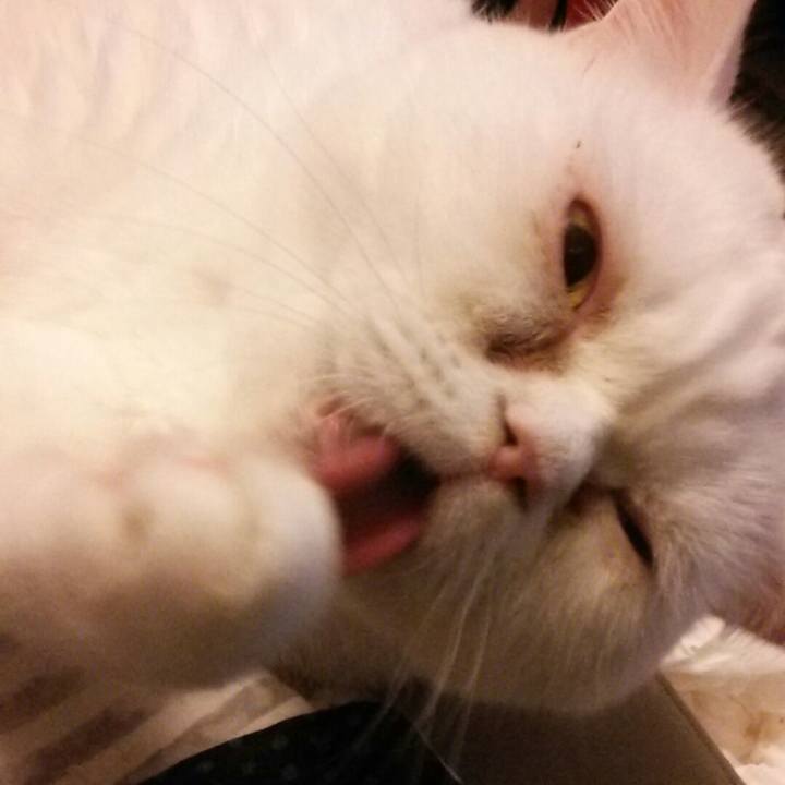 5b6efe36 ef7a 42aa aff7 bd8527f96c5a 1549110401921