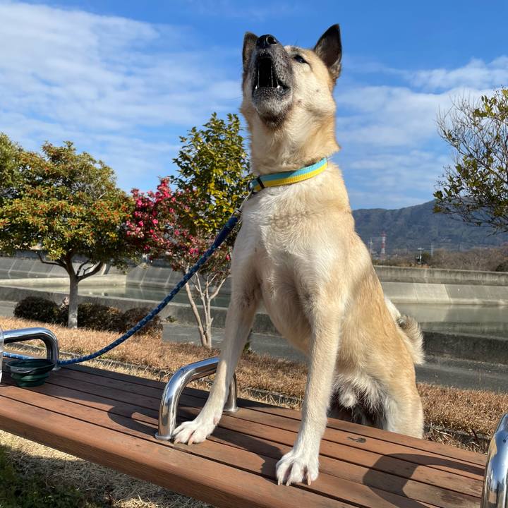 5b6f045c 69d6 444d 83ab 531cce315fff 1642851480721