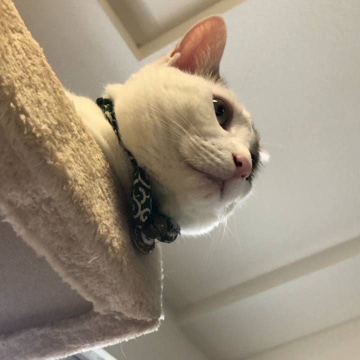 5b6f1de9 f3f9 4d67 90b2 fd88e04b192d 1529289140070