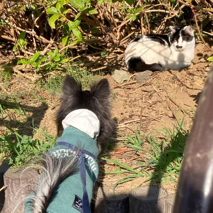 5b6f3415 1a75 4b6b 81a3 8bf3fd9c89f4 1668868950172