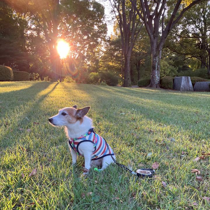 5b6f37c7 187d 4d30 92ca f1a3b041b7e3 1729552948943